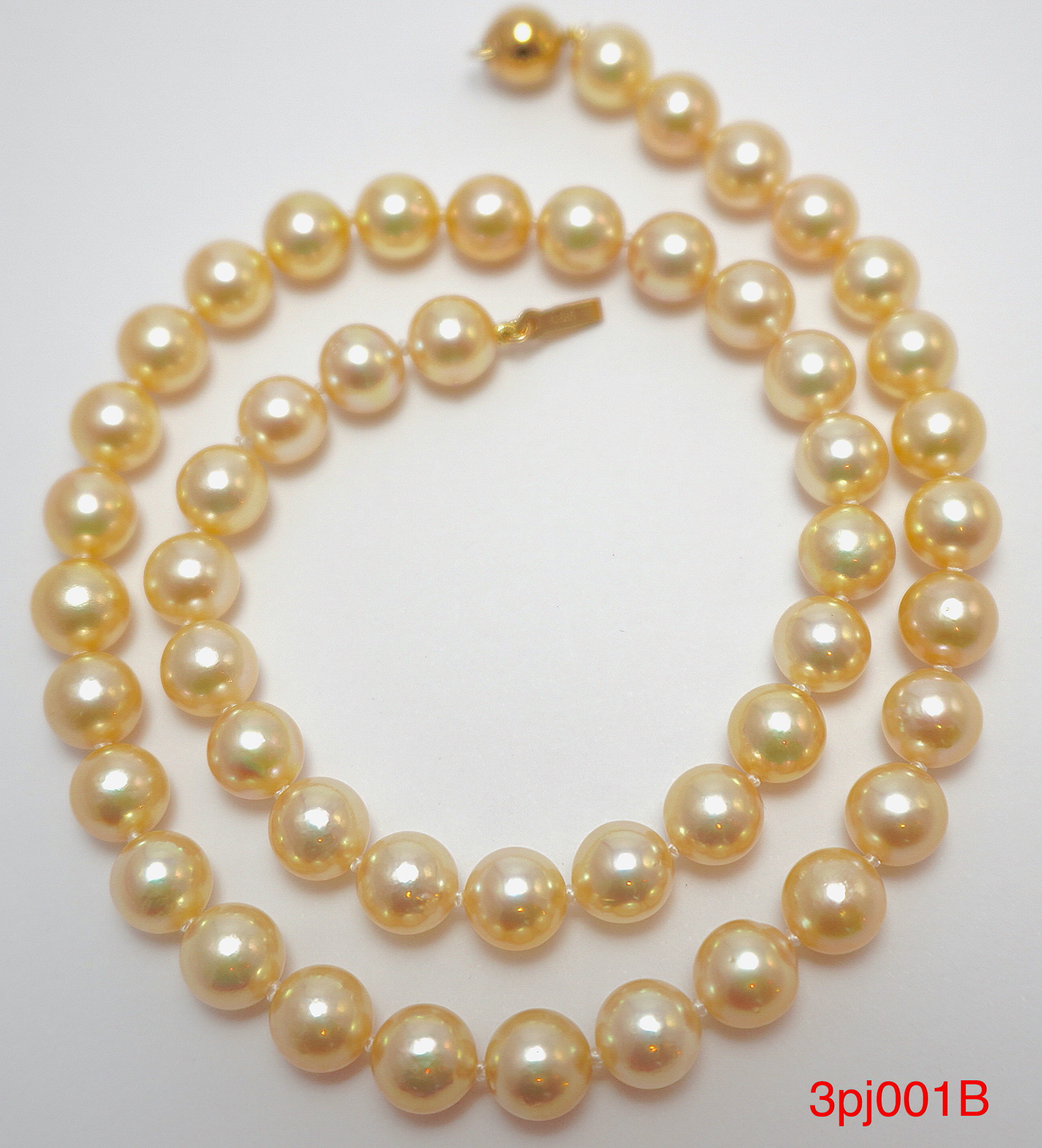 Japanese akoya pearl necklace AAA golden 8-8.5mm with 14k gold clasp ...